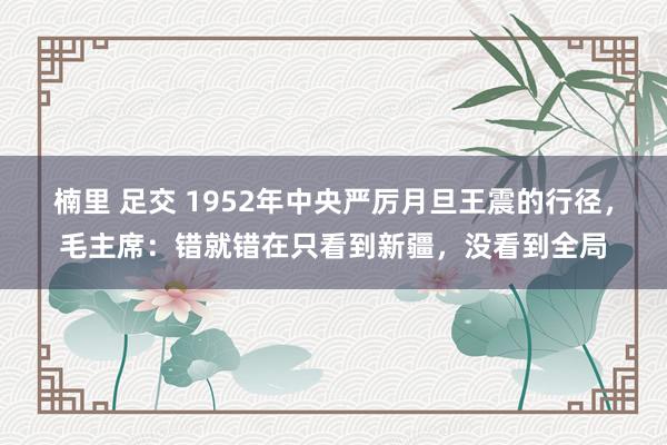 楠里 足交 1952年中央严厉月旦王震的行径，毛主席：错就错在只看到新疆，没看到全局