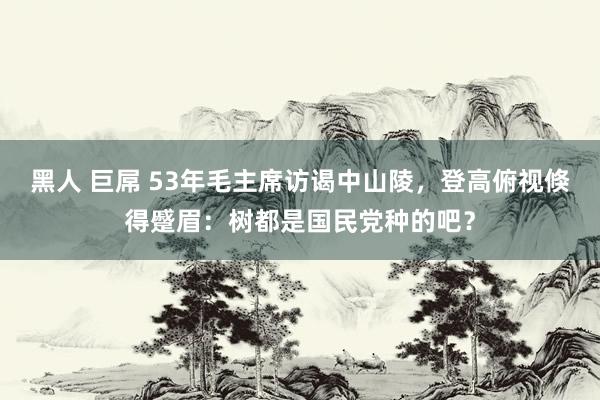 黑人 巨屌 53年毛主席访谒中山陵，登高俯视倏得蹙眉：树都是国民党种的吧？