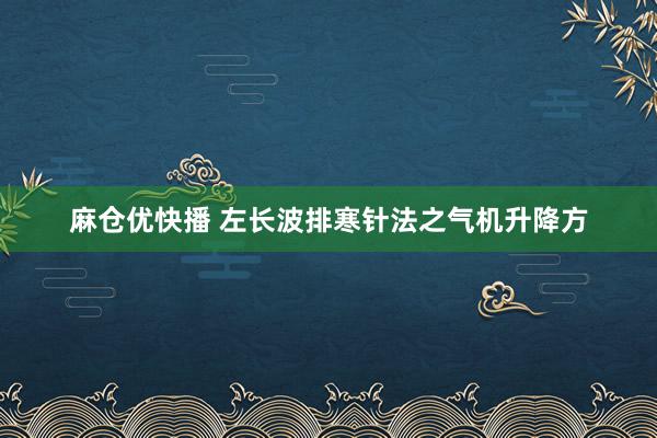 麻仓优快播 左长波排寒针法之气机升降方