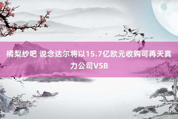 橘梨纱吧 说念达尔将以15.7亿欧元收购可再天真力公司VSB