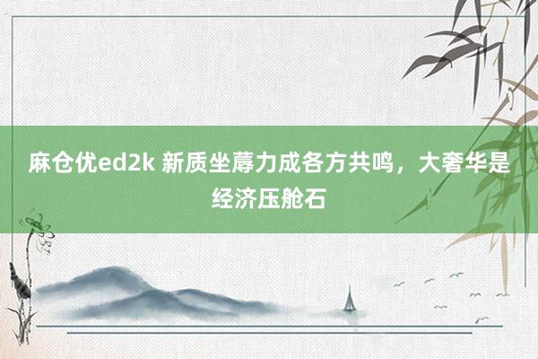 麻仓优ed2k 新质坐蓐力成各方共鸣，大奢华是经济压舱石