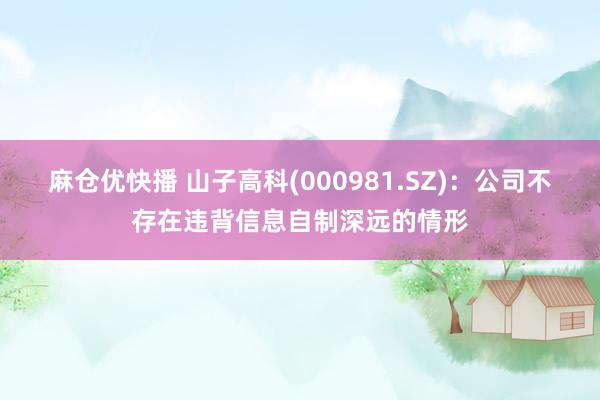 麻仓优快播 山子高科(000981.SZ)：公司不存在违背信息自制深远的情形