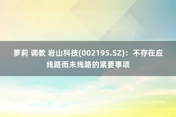 萝莉 调教 岩山科技(002195.SZ)：不存在应线路而未线路的紧要事项