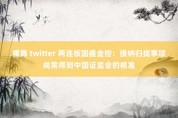 裸舞 twitter 两连板国盛金控：接纳归拢事项尚需得到中国证监会的核准