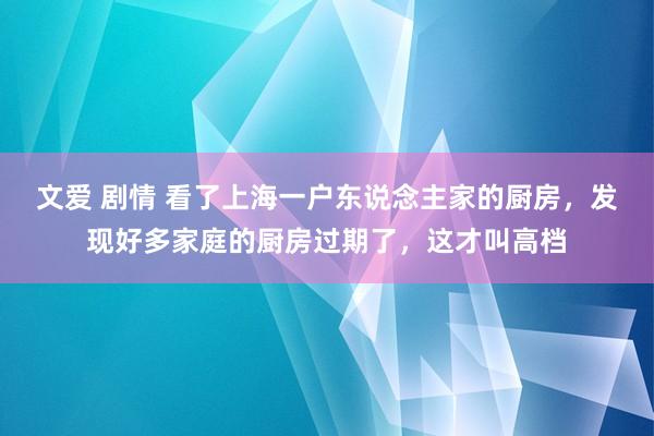 文爱 剧情 看了上海一户东说念主家的厨房，发现好多家庭的厨房过期了，这才叫高档