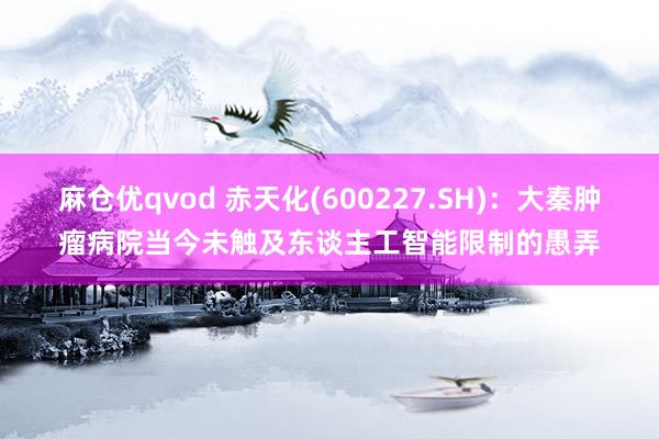 麻仓优qvod 赤天化(600227.SH)：大秦肿瘤病院当今未触及东谈主工智能限制的愚弄