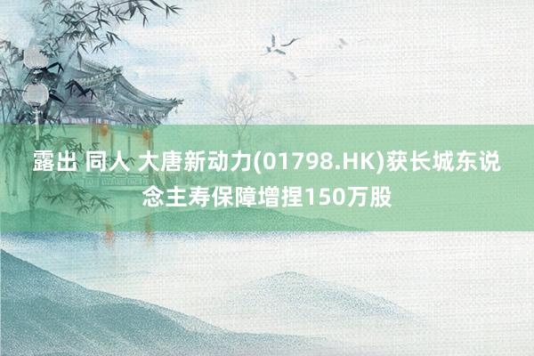 露出 同人 大唐新动力(01798.HK)获长城东说念主寿保障增捏150万股