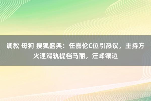 调教 母狗 搜狐盛典：任嘉伦C位引热议，主持方火速滑轨提档马丽，汪峰镶边