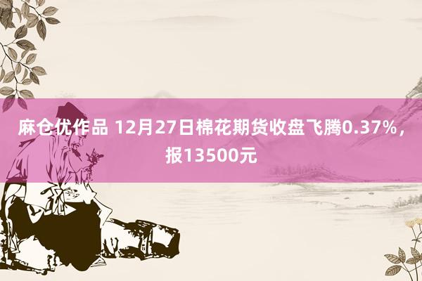 麻仓优作品 12月27日棉花期货收盘飞腾0.37%，报13500元