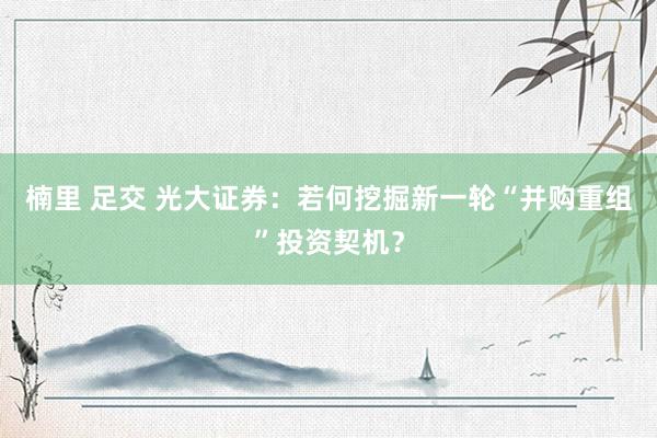 楠里 足交 光大证券：若何挖掘新一轮“并购重组”投资契机？