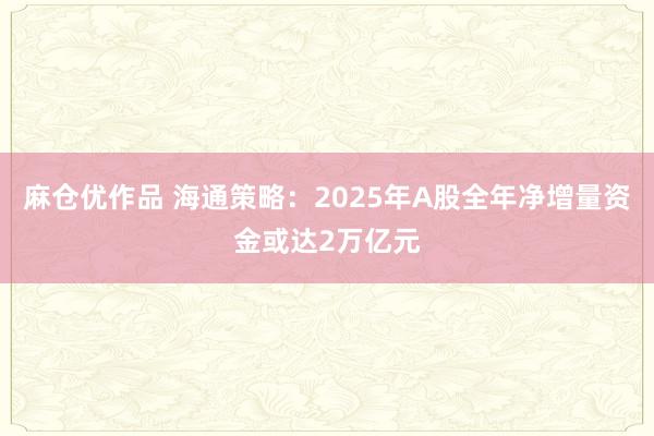 麻仓优作品 海通策略：2025年A股全年净增量资金或达2万亿元