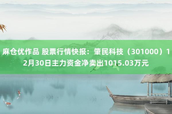 麻仓优作品 股票行情快报：肇民科技（301000）12月30日主力资金净卖出1015.03万元