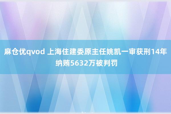 麻仓优qvod 上海住建委原主任姚凯一审获刑14年 纳贿5632万被判罚