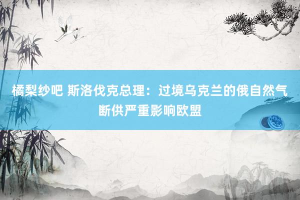 橘梨纱吧 斯洛伐克总理：过境乌克兰的俄自然气断供严重影响欧盟