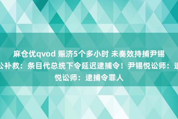 麻仓优qvod 赈济5个多小时 未奏效持捕尹锡悦！韩国公补救：条目代总统下令延迟逮捕令！尹锡悦讼师：逮捕令罪人