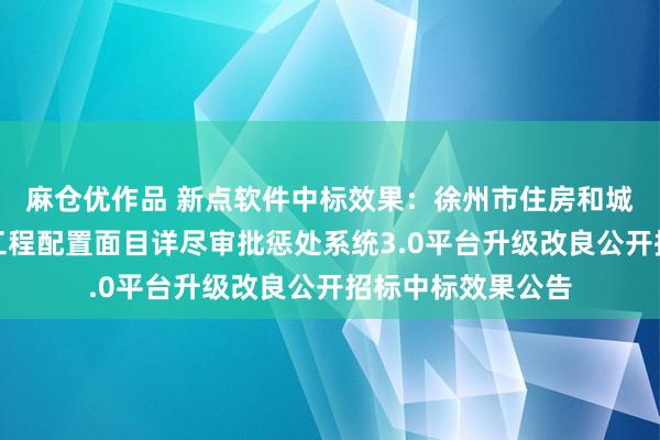 麻仓优作品 新点软件中标效果：徐州市住房和城乡配置局徐州市工程配置面目详尽审批惩处系统3.0平台升级改良公开招标中标效果公告