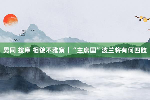 男同 按摩 相貌不雅察｜“主席国”波兰将有何四肢