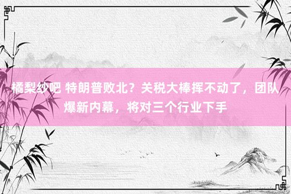 橘梨纱吧 特朗普败北？关税大棒挥不动了，团队爆新内幕，将对三个行业下手