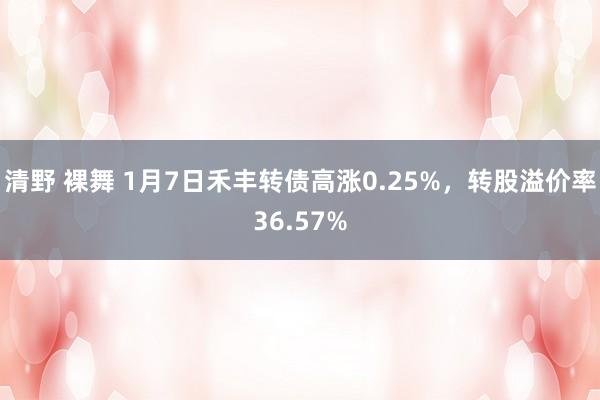 清野 裸舞 1月7日禾丰转债高涨0.25%，转股溢价率36.57%