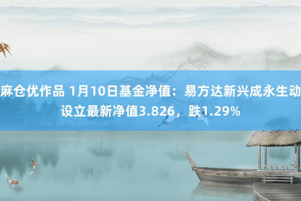 麻仓优作品 1月10日基金净值：易方达新兴成永生动设立最新净值3.826，跌1.29%