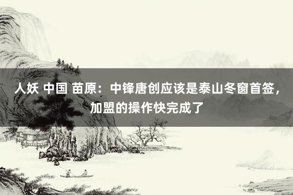 人妖 中国 苗原：中锋唐创应该是泰山冬窗首签，加盟的操作快完成了