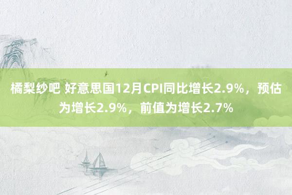 橘梨纱吧 好意思国12月CPI同比增长2.9%，预估为增长2.9%，前值为增长2.7%