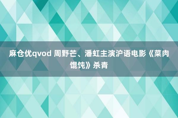 麻仓优qvod 周野芒、潘虹主演沪语电影《菜肉馄饨》杀青